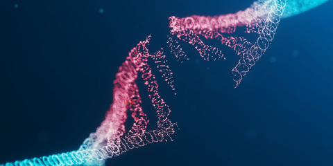 Targeting homologous recombination deficiency (HRD) in cancer research