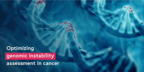 Optimizing genomic instability assessment in cancer