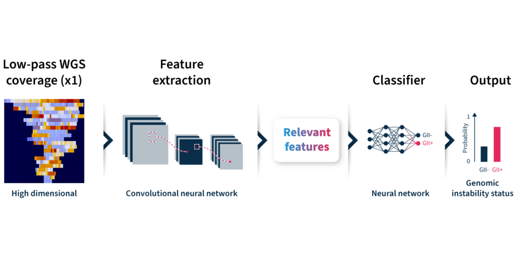 Convolutional neural network-based process by which the GIIngerTM algorithm transforms low-pass whole genome sequencing data into a prediction of genomic instability status.